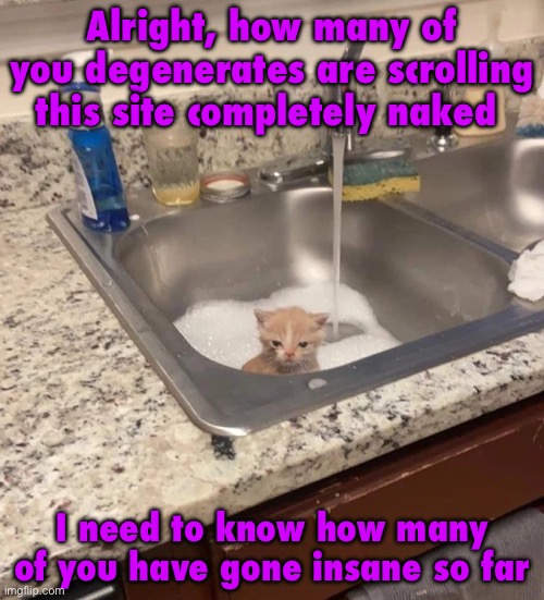 If more than 3 of you are scrolling naked on a meme website I’m going into hibernation for the rest of the year | Alright, how many of you degenerates are scrolling this site completely naked; I need to know how many of you have gone insane so far | image tagged in baf | made w/ Imgflip meme maker