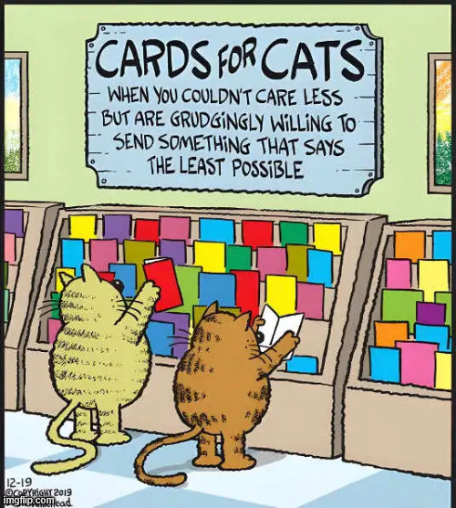 Cards for cats | image tagged in repost,cards for cats | made w/ Imgflip meme maker