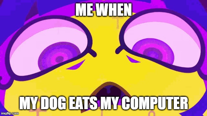 ankha moment | ME WHEN; MY DOG EATS MY COMPUTER | image tagged in ankha moment | made w/ Imgflip meme maker