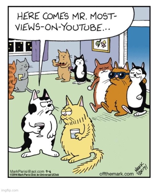 As you can see, the success has already gone to his head… | image tagged in cats,comics,youtube celebrity | made w/ Imgflip meme maker