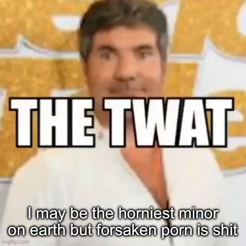 it’s a fucking roblox game there’s no point | I may be the horniest minor on earth but forsaken porn is shit | image tagged in the twat | made w/ Imgflip meme maker