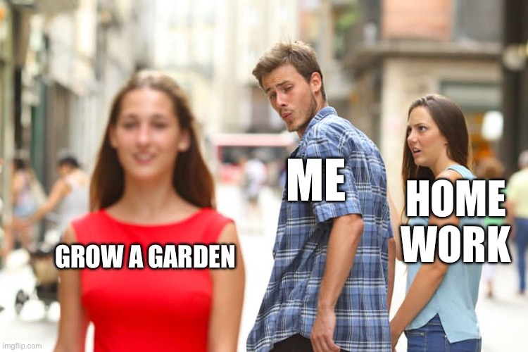 Me when I have home work | ME; HOME WORK; GROW A GARDEN | image tagged in memes,distracted boyfriend | made w/ Imgflip meme maker