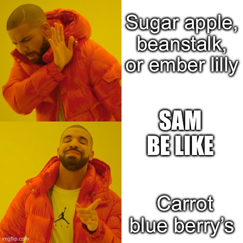 Sam’s stock be like (grow a garden) | Sugar apple, beanstalk, or ember lilly; SAM BE LIKE; Carrot blue berry’s | image tagged in memes,drake hotline bling | made w/ Imgflip meme maker