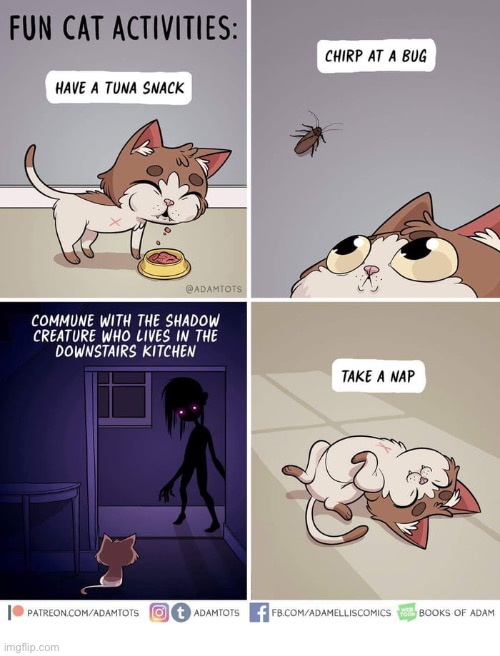 The shadow creature could be helpful and feed the cat… | image tagged in cats,comics,cat activities | made w/ Imgflip meme maker