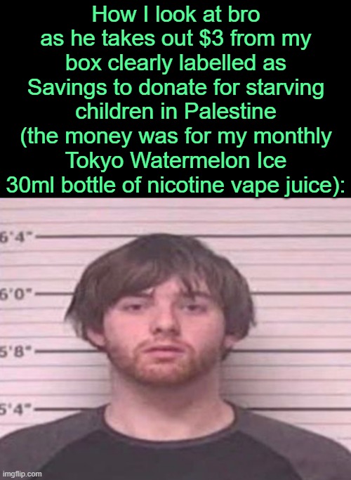. | How I look at bro as he takes out $3 from my box clearly labelled as Savings to donate for starving children in Palestine (the money was for my monthly Tokyo Watermelon Ice 30ml bottle of nicotine vape juice): | image tagged in lazymazy mug shot | made w/ Imgflip meme maker