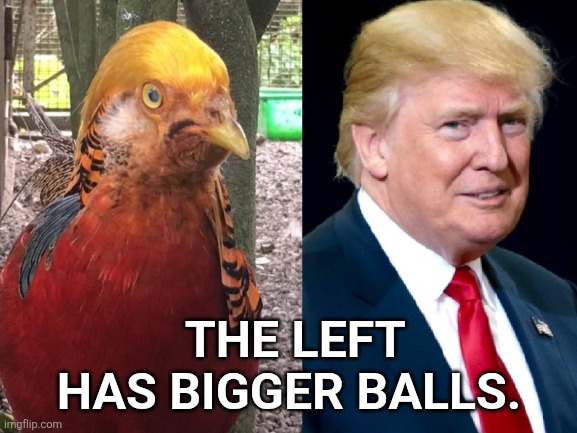 THE LEFT HAS BIGGER BALLS. | made w/ Imgflip meme maker