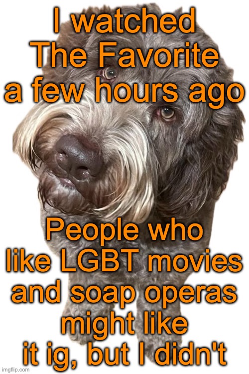 What's more disappointing is that I really like its director Yorgos Lanthimos (not as much as Wes Anderson though) | I watched The Favorite a few hours ago; People who like LGBT movies and soap operas might like it ig, but I didn't | image tagged in norther's dog | made w/ Imgflip meme maker