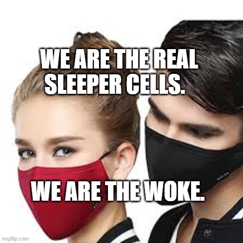Mask Couple | WE ARE THE REAL SLEEPER CELLS. WE ARE THE WOKE. | image tagged in mask couple | made w/ Imgflip meme maker