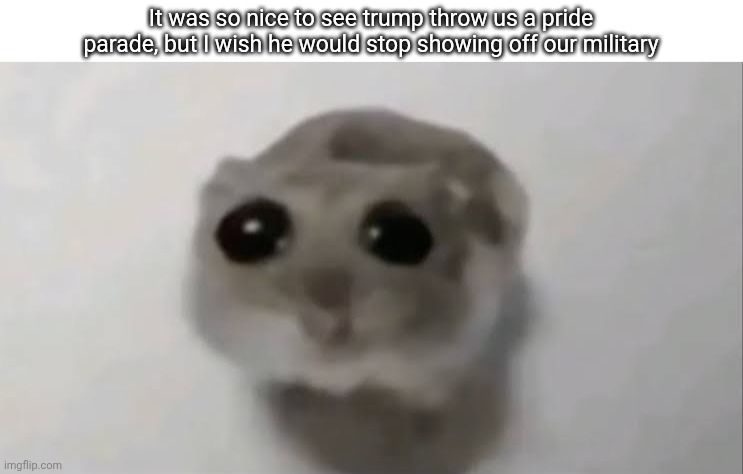 Satire | It was so nice to see trump throw us a pride parade, but I wish he would stop showing off our military | image tagged in sad hamster | made w/ Imgflip meme maker