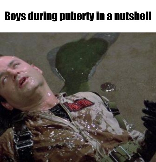 BUSTIN' MAKES ME FEEL GOOD | Boys during puberty in a nutshell | image tagged in ghostbusters | made w/ Imgflip meme maker