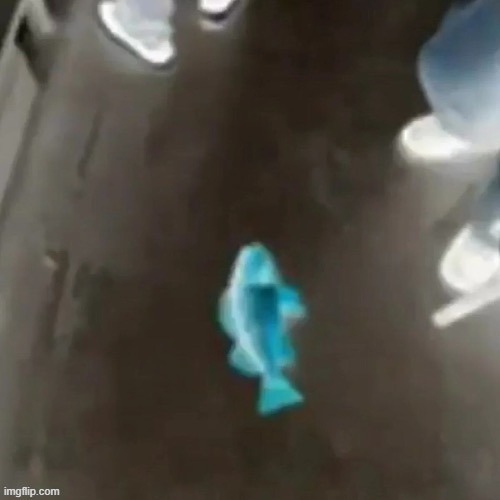 Inverted Jimmy here fish | image tagged in jimmy here fish | made w/ Imgflip meme maker