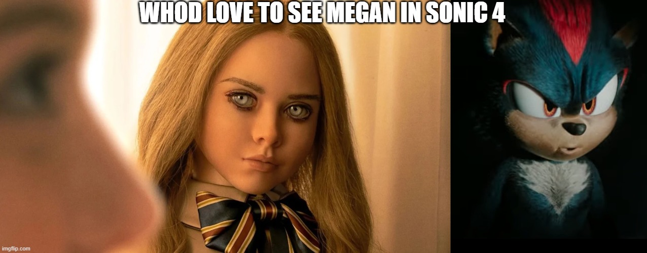 WHOD LOVE TO SEE MEGAN IN SONIC 4 | image tagged in shadow says boo | made w/ Imgflip meme maker