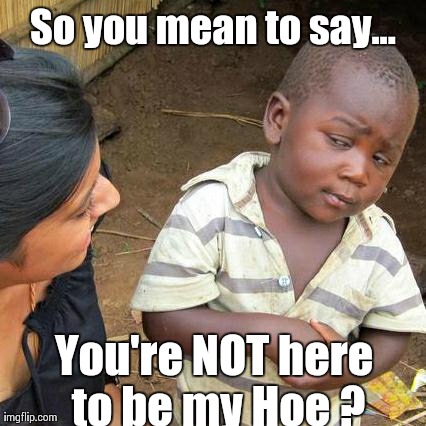 I've got hoes. | So you mean to say... You're NOT here to be my Hoe ? | image tagged in memes,third world skeptical kid | made w/ Imgflip meme maker