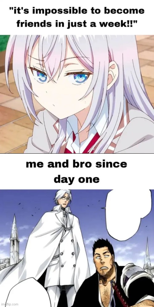 image tagged in alya,isshin,ryuken,bleach | made w/ Imgflip meme maker
