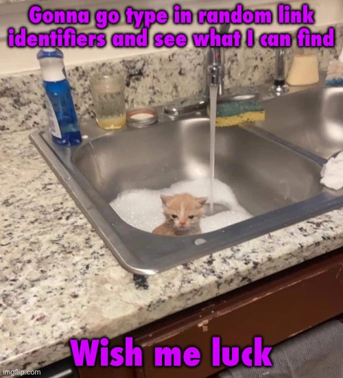 Baf | Gonna go type in random link identifiers and see what I can find; Wish me luck | image tagged in baf | made w/ Imgflip meme maker