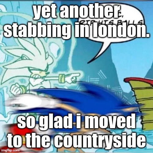 some one was fucking dissected in a street | yet another stabbing in london. so glad i moved to the countryside | image tagged in sonic rip his balls off | made w/ Imgflip meme maker
