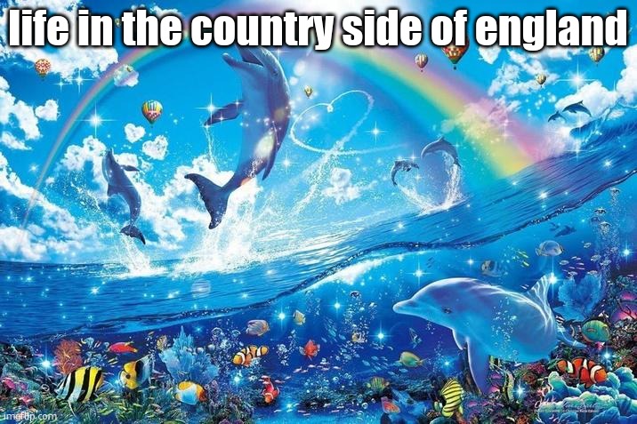 Happy dolphin rainbow | life in the country side of england | image tagged in happy dolphin rainbow | made w/ Imgflip meme maker