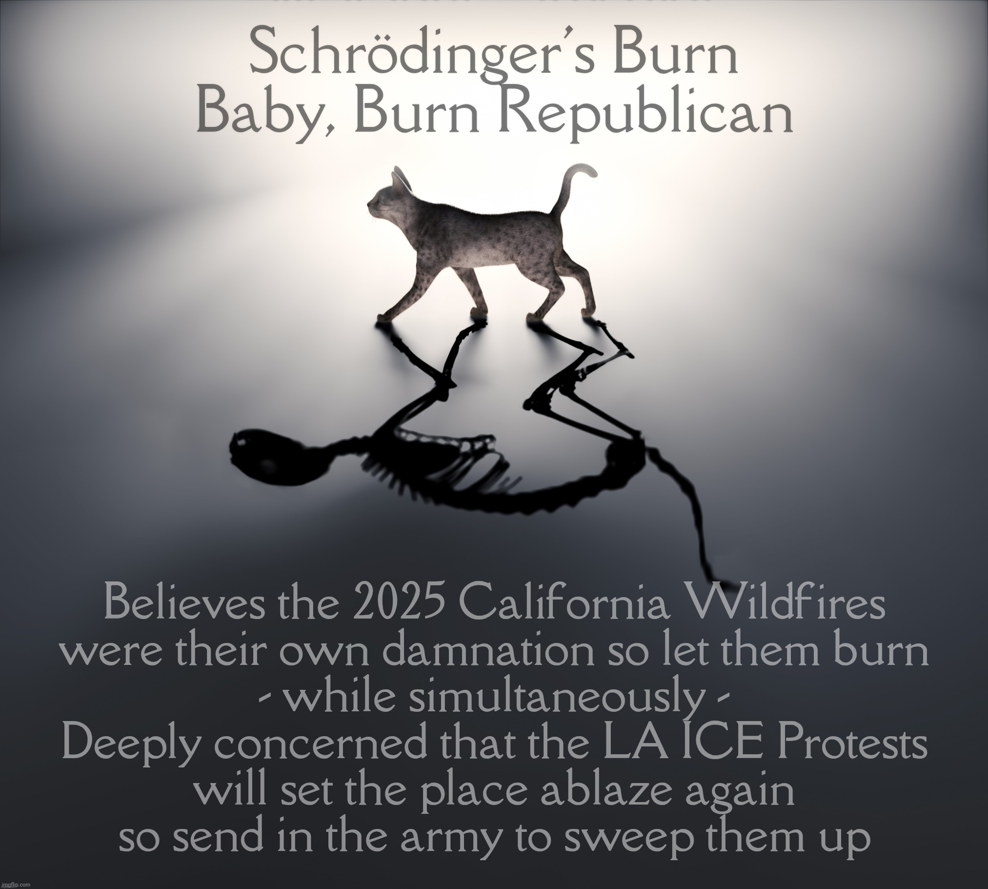 Schrodinger's Cat | Schrödinger's Burn Baby, Burn Republican; Believes the 2025 California Wildfires
were their own damnation so let them burn
- while simultaneously -
Deeply concerned that the LA ICE Protests
will set the place ablaze again
so send in the army to sweep them up | image tagged in schrodinger's cat | made w/ Imgflip meme maker