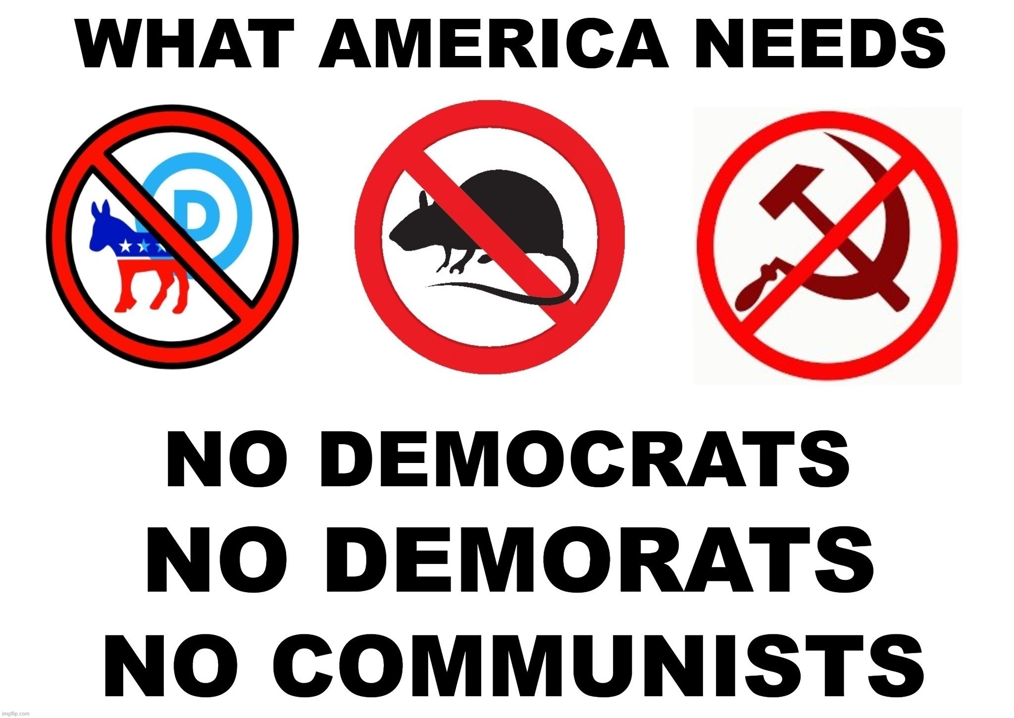 WHAT AMERICA NEEDS | image tagged in democrats,demorats,communists,communism,cultural marxism,marxism | made w/ Imgflip meme maker