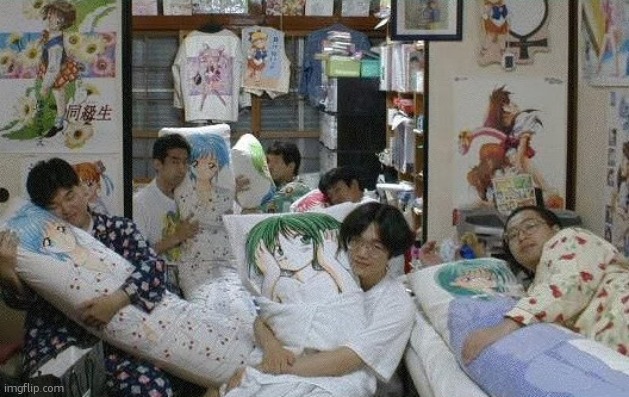Body pillow showdown | image tagged in body pillow showdown | made w/ Imgflip meme maker