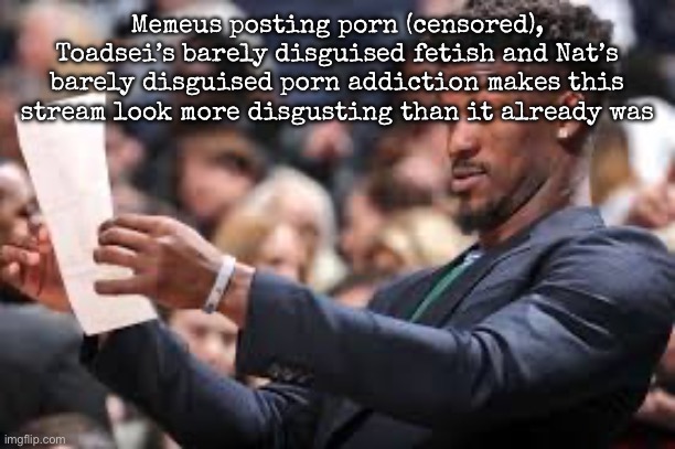 What am I reading | Memeus posting porn (censored), Toadsei’s barely disguised fetish and Nat’s barely disguised porn addiction makes this stream look more disgusting than it already was | image tagged in what am i reading,msmg | made w/ Imgflip meme maker
