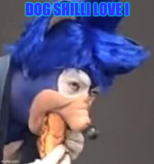Too Soonic | DOG SHILLI LOVE I | image tagged in too soonic | made w/ Imgflip meme maker