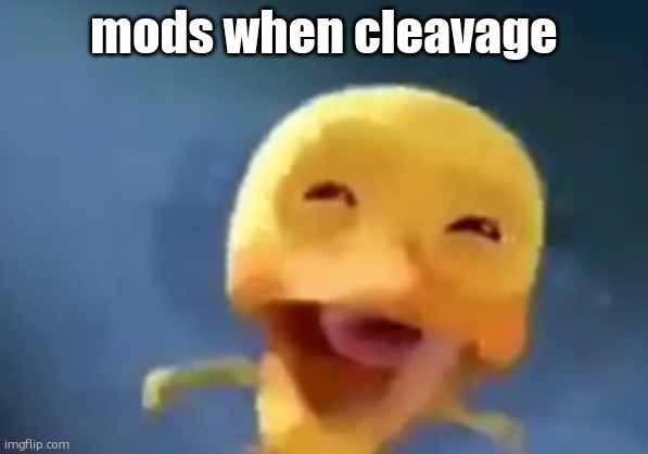 crying duck | mods when cleavage | image tagged in crying duck | made w/ Imgflip meme maker