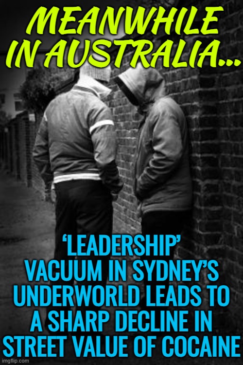 Meanwhile In Australia... Leadership Vacuum In Sydney’s Underworld Leads To A Sharp Decline In Street Value Of Cocaine | MEANWHILE IN AUSTRALIA... ‘LEADERSHIP’ VACUUM IN SYDNEY’S UNDERWORLD LEADS TO A SHARP DECLINE IN STREET VALUE OF COCAINE | image tagged in drug dealer,don't do drugs,drugs are bad,meanwhile in australia,cocaine,cocaine is a hell of a drug | made w/ Imgflip meme maker