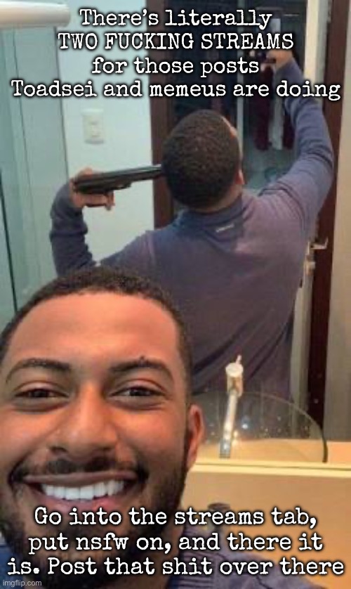 Mirror suicide | There’s literally TWO FUCKING STREAMS for those posts Toadsei and memeus are doing; Go into the streams tab, put nsfw on, and there it is. Post that shit over there | image tagged in mirror suicide,msmg | made w/ Imgflip meme maker