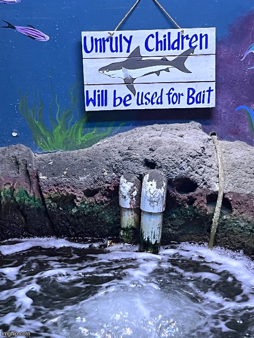 Took this at an aquarium I went to | made w/ Imgflip meme maker