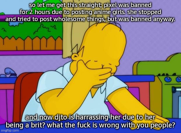 smh homer | so let me get this straight; pixel was banned for 2 hours due to posting anime girls. she stopped and tried to post wholesome things, but was banned anyway. and now djto is harrassing her due to her being a brit? what the fuck is wrong with you people? | image tagged in smh homer | made w/ Imgflip meme maker