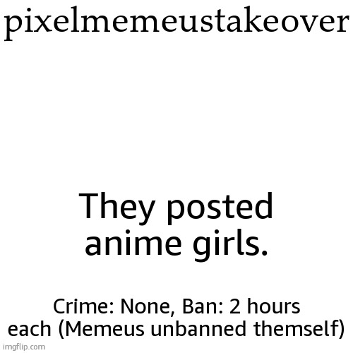 a take over is when the stream constantly posts about what they did | pixelmemeustakeover; They posted anime girls. Crime: None, Ban: 2 hours each (Memeus unbanned themself) | image tagged in drama document | made w/ Imgflip meme maker