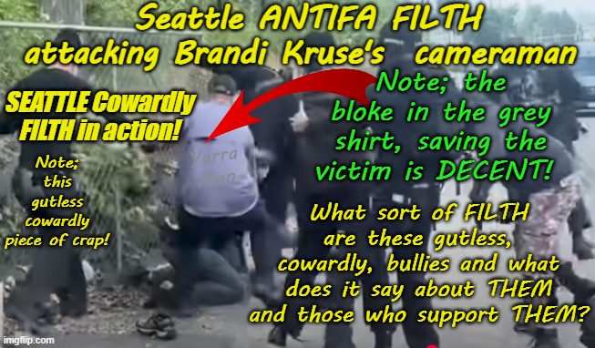 Seattle ANTIFA FILTH in action, What does it say about THEM and those who support THEM? | Seattle ANTIFA FILTH attacking Brandi Kruse's  cameraman; Note; the bloke in the grey shirt, saving the victim is DECENT! SEATTLE Cowardly FILTH in action! What sort of FILTH are these gutless, cowardly, bullies and what does it say about THEM and those who support THEM? Note; this gutless cowardly piece of crap! Yarra Man | image tagged in cowardly gutless dogs,hyenas,yellow sub humans,brandi kruse,no kings garbage,democrat progressive far left | made w/ Imgflip meme maker