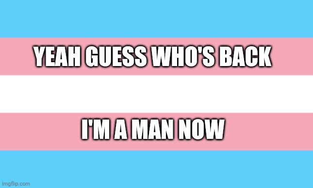 Trans Flag | YEAH GUESS WHO'S BACK; I'M A MAN NOW | image tagged in trans flag | made w/ Imgflip meme maker