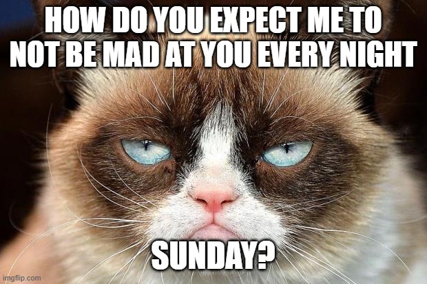 Grumpy Cat Not Amused | HOW DO YOU EXPECT ME TO NOT BE MAD AT YOU EVERY NIGHT; SUNDAY? | image tagged in memes,grumpy cat not amused,grumpy cat | made w/ Imgflip meme maker