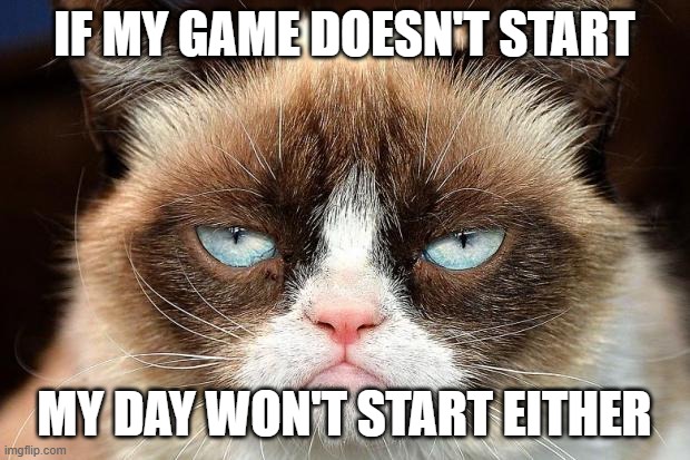 Grumpy Cat Not Amused | IF MY GAME DOESN'T START; MY DAY WON'T START EITHER | image tagged in memes,grumpy cat not amused,grumpy cat | made w/ Imgflip meme maker