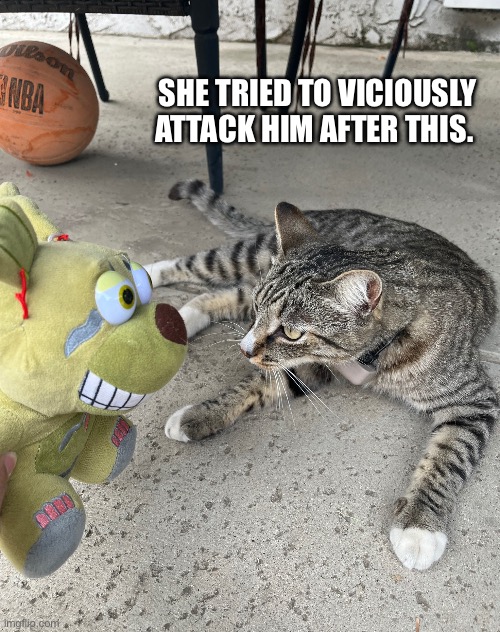 ground reveal | SHE TRIED TO VICIOUSLY ATTACK HIM AFTER THIS. | image tagged in tragic,car | made w/ Imgflip meme maker