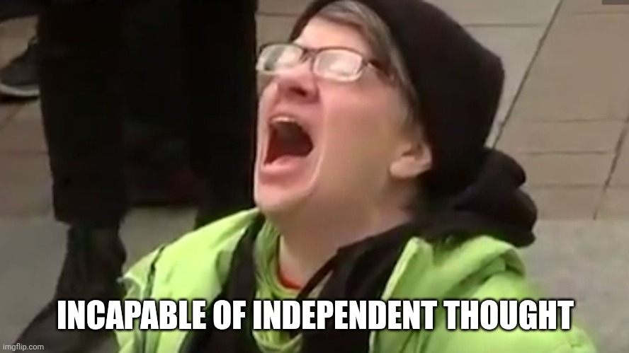 Screaming Liberal  | INCAPABLE OF INDEPENDENT THOUGHT | image tagged in screaming liberal | made w/ Imgflip meme maker
