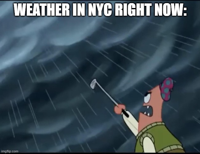 Lousy Weather we've been getting | WEATHER IN NYC RIGHT NOW: | image tagged in weather,new york city | made w/ Imgflip meme maker