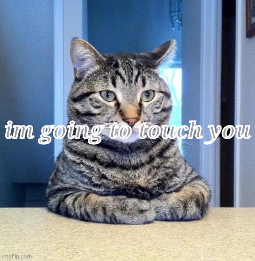 Serious Cat | im going to touch you | image tagged in serious cat | made w/ Imgflip meme maker