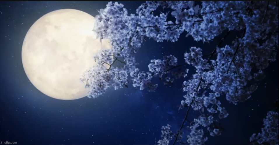 Moon | image tagged in why are you reading this,you have been eternally cursed for reading the tags | made w/ Imgflip meme maker