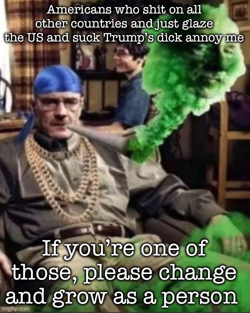 You look like a 7 year old doing that | Americans who shit on all other countries and just glaze the US and suck Trump’s dick annoy me; If you’re one of those, please change and grow as a person | image tagged in waltuh,msmg | made w/ Imgflip meme maker