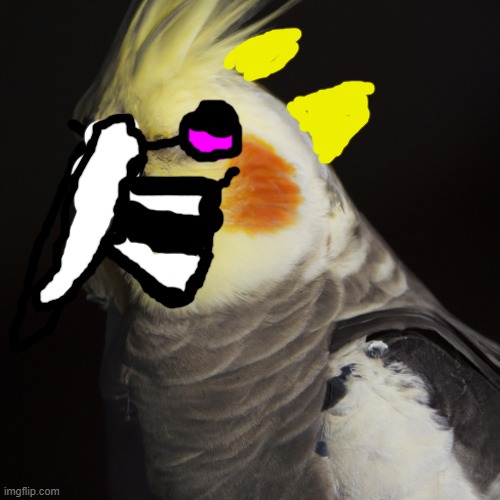 Saw this bird then thought about... Feel free to take a sip of unsee juice... | image tagged in cockatiel | made w/ Imgflip meme maker