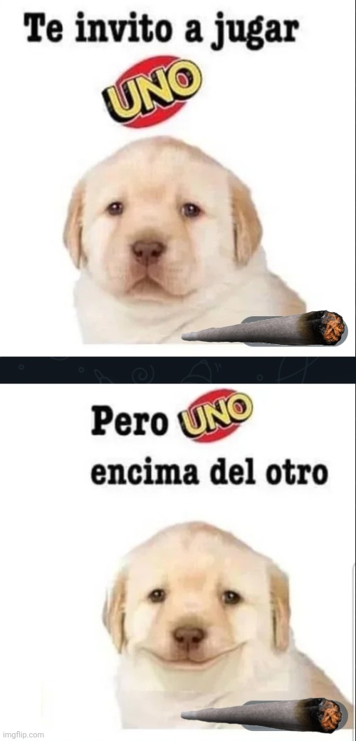 9xir28.jpg