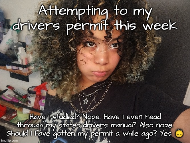Look at me bruh there's no way y'all want that behind a wheel | Attempting to my drivers permit this week; Have I studied? Nope. Have I even read through my states drivers manual? Also nope. Should I have gotten my permit a while ago? Yes 🙂‍↕️ | made w/ Imgflip meme maker