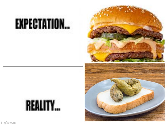McShit | image tagged in mcdonalds,fast food,food,expectation vs reality | made w/ Imgflip meme maker