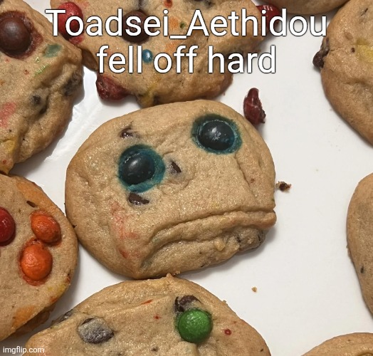 Sad cookie | Toadsei_Aethidou fell off hard | image tagged in sad cookie | made w/ Imgflip meme maker