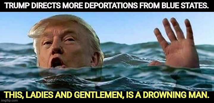 The ethnic cleansing of America. | TRUMP DIRECTS MORE DEPORTATIONS FROM BLUE STATES. THIS, LADIES AND GENTLEMEN, IS A DROWNING MAN. | image tagged in trump ocean sea climate change,trump,desperate,loser,fascist,dictator | made w/ Imgflip meme maker