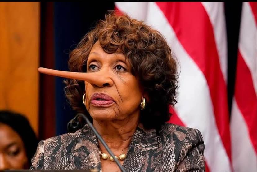 Maxine Waters Pinocchio Blank Meme Template