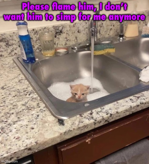 Baf | Please flame him, I don’t want him to simp for me anymore | image tagged in baf | made w/ Imgflip meme maker